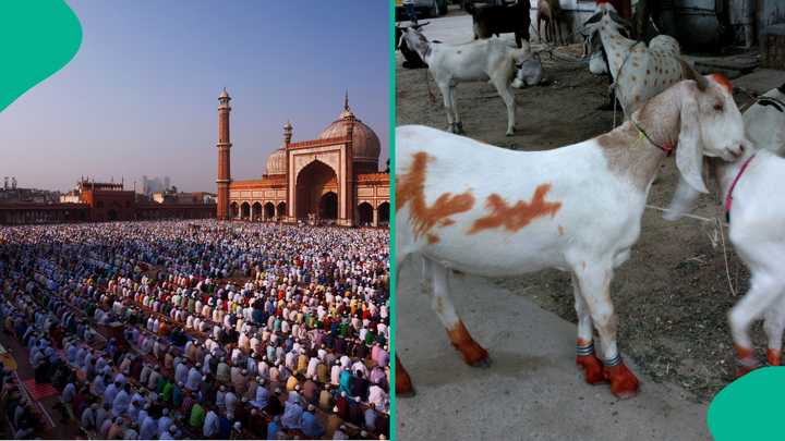 UAE Set for Six-Day Eid al-Adha Break in May 2026 as Moon Sighting Determines Exact Dates — image 3