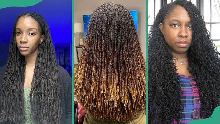 40 great sisterlocks styles that are trendy yet easy to pull off - Legit.ng
