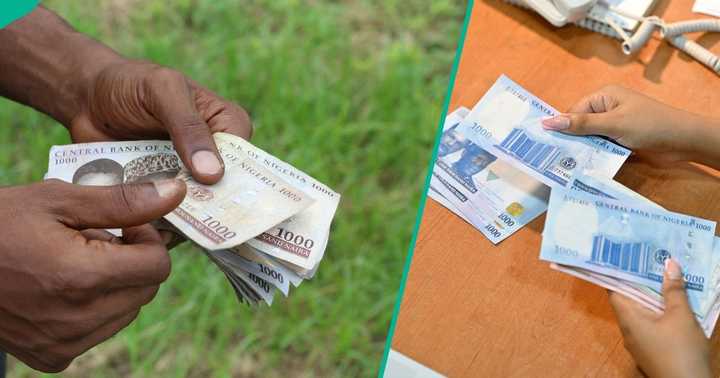 World Bank Reacts as FG Disburses N658.9bn to 10.46 Million Nigerian ...
