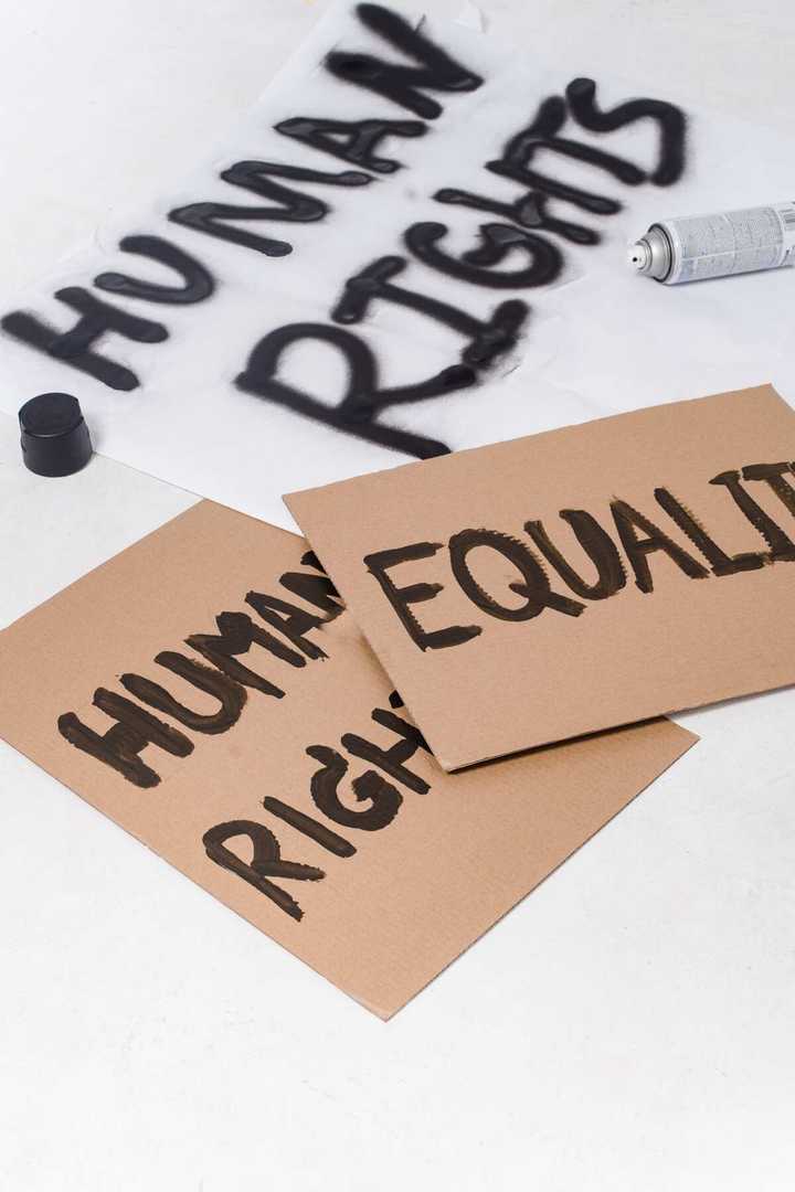 Agencies responsible for the protection of human rights: Full list ...