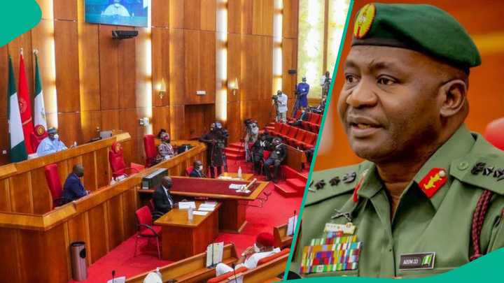 Senate Fixes Date to Screen General CG Musa as New Defence Minister ...