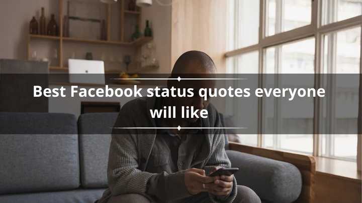 150 best Facebook status quotes everyone will like - Legit.ng