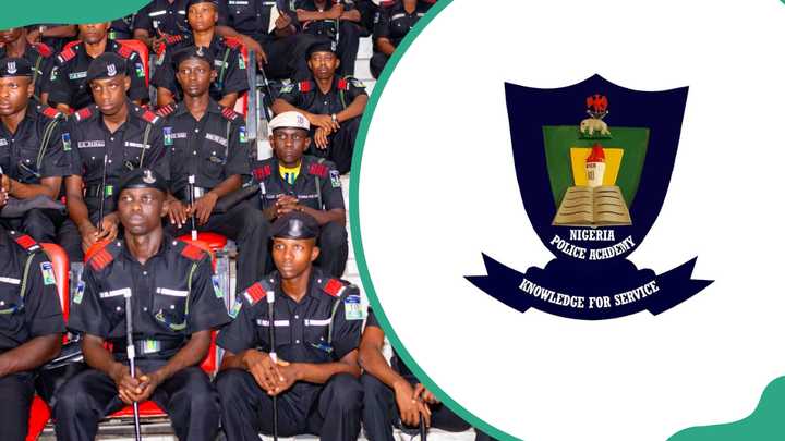 Full list of POLAC courses and subject combinations you'll need - Legit.ng