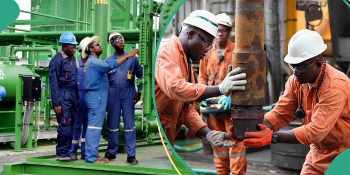 Nigerian Oil Companies with Highest Profits in 9 Months, Seplat Leads ...