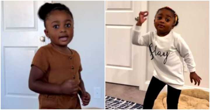 Van A Rapper “My Name Is Van Van”: Meet Cute 4-Year-Old Rapper Taking Over the ...