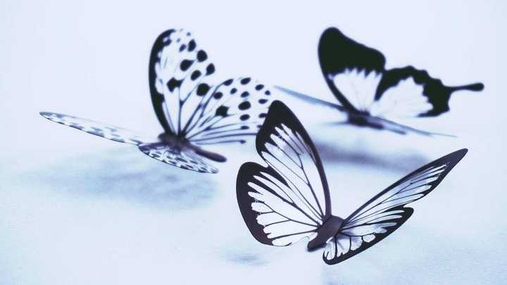 50 simple things to draw on your hand with a pen when bored - Legit.ng