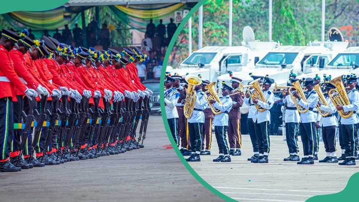 Nigerian police ranks, symbols, duties and salaries (updated) - Legit.ng