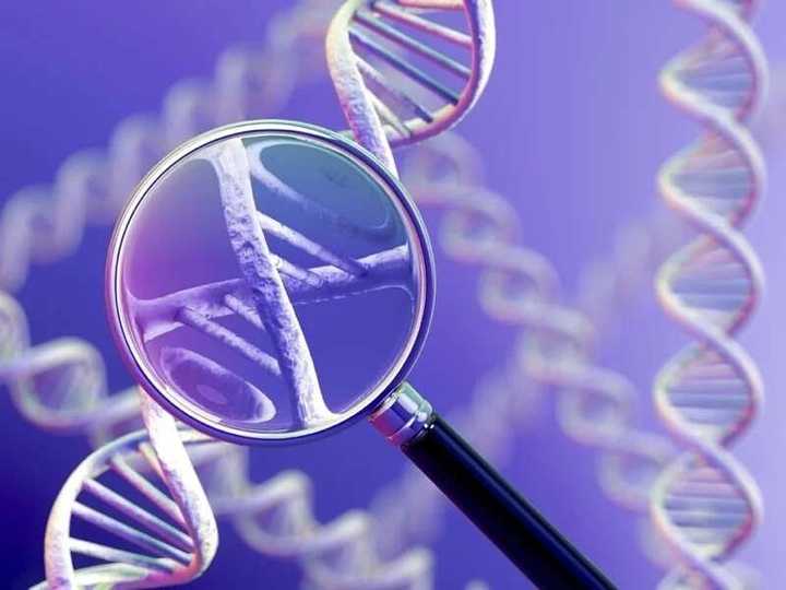 How do I know my genotype without going to the hospital? - Legit.ng