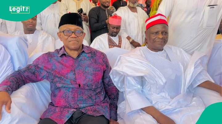 “Dear Peter Obi, Kwankwaso”: New Party sends message to 2 ADC presidential aspirants