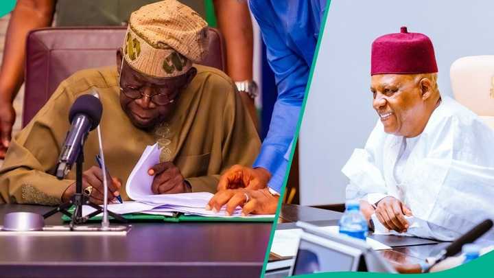 Bayan lashe zaben fitar da gwani, kallo ya koma kan Tinubu game da kujerar Shettima