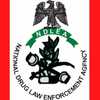 NDLEA (Nigerian Drug Law Enforcement Agency) avatar