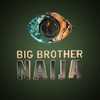 Big Brother Naija - BBNAIJA avatar