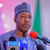 Borno State avatar