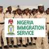 NIS - Nigeria Immigration Service avatar